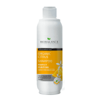 Organic Citrus Shampoo